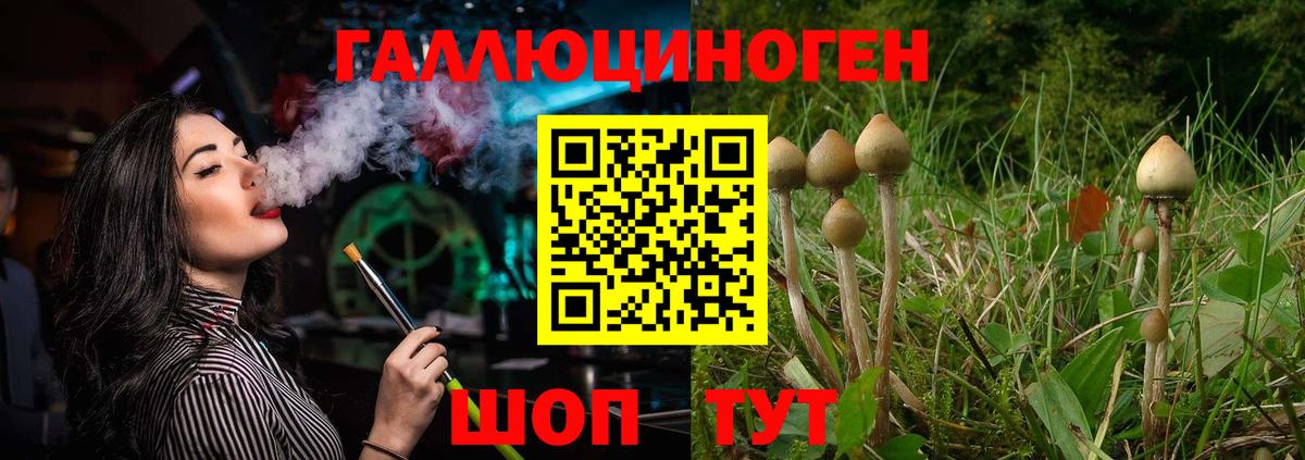 Галлюциногенные грибы MAGIC MUSHROOMS Советская Гавань