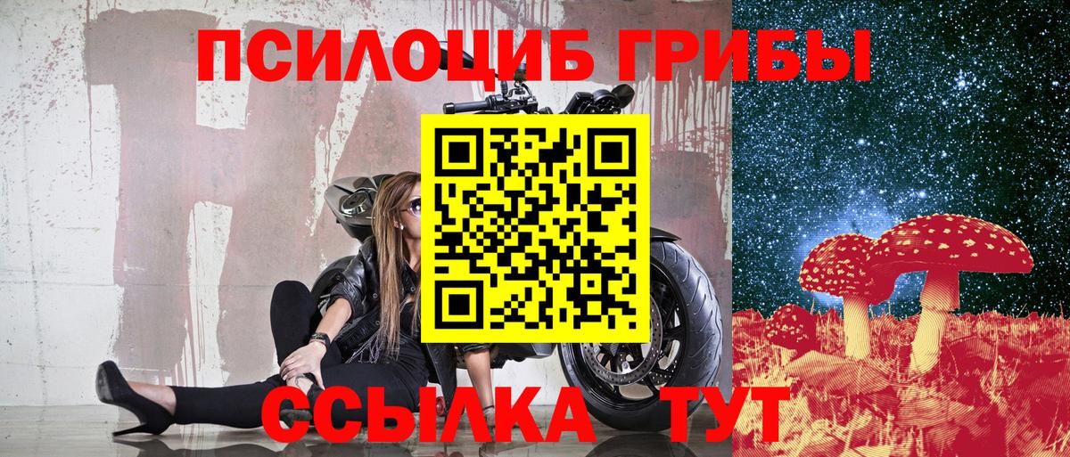 Советская Гавань  как найти наркотики  Вход с VPN  Галлюциногенные грибы Cubensis 